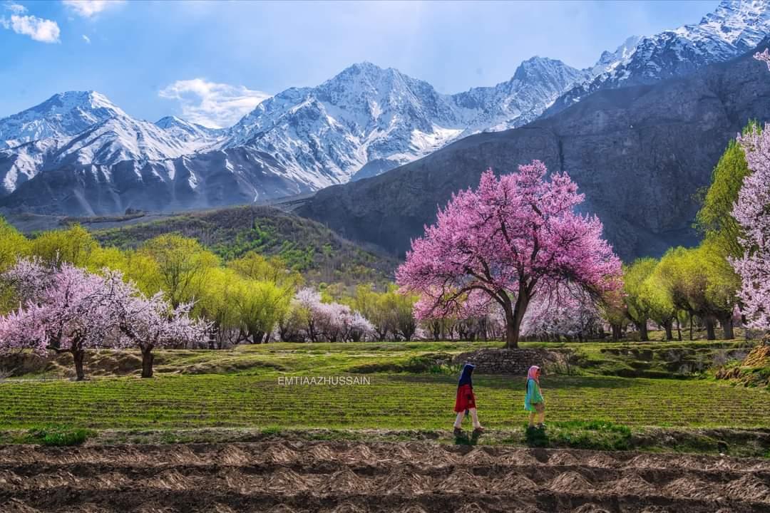 Chunda Valley Landscape