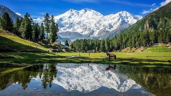 Fairy Meadows View