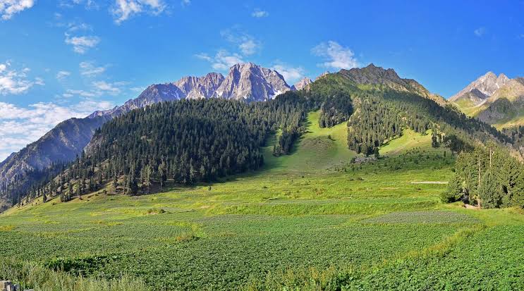 Naltar Valley