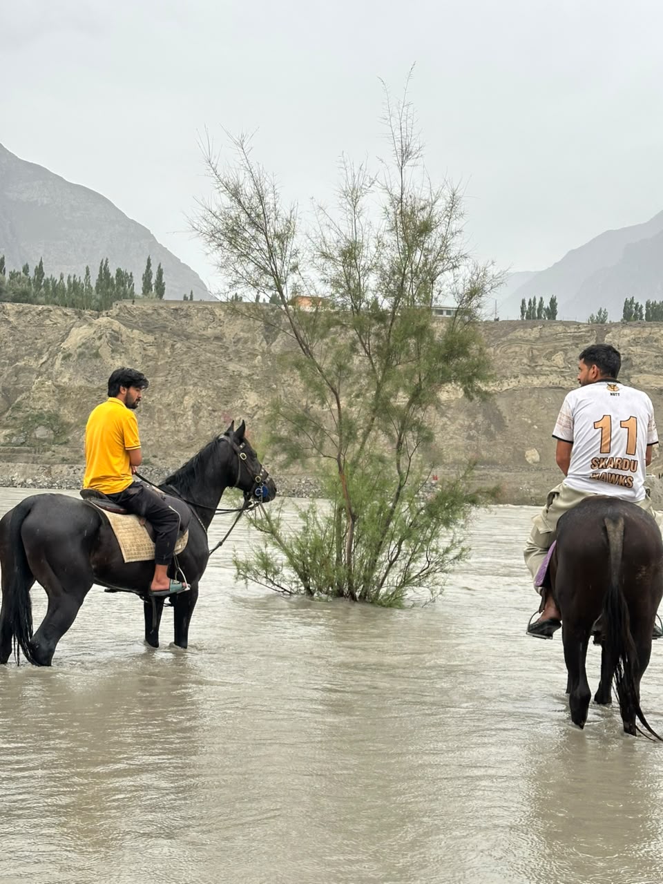 Mountain Trail Horse Riding